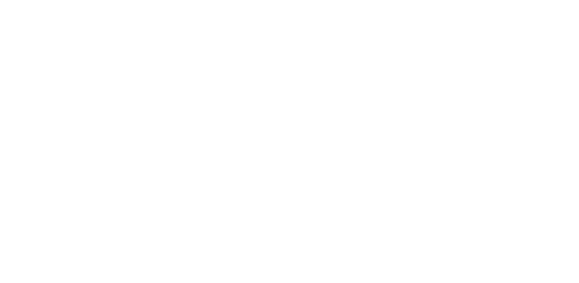 לקוח 10